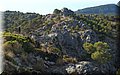P7241438.JPG