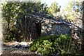 P7241445.JPG