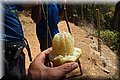 P7241455.JPG