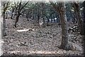P7281503.JPG