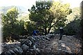 P7281506.JPG