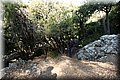P7281507.JPG