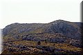 P7281520.JPG