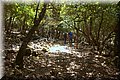 P7281529.JPG