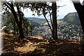 P7281530.JPG