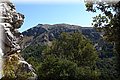 P7311557.JPG