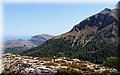 P7311561.JPG
