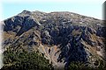 P7311569.JPG