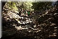 P7311574.JPG