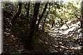 P7311575.JPG