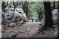 P7311580.JPG