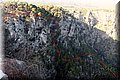P8041583.JPG