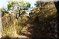 P8041587.JPG