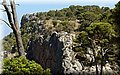 P8041594.JPG