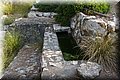 P8071604.JPG