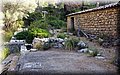 P8071605.JPG