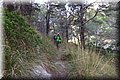 P8071610.JPG
