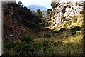 P8071611.JPG