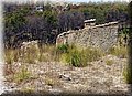 P8071660.JPG