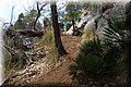 P8071681.JPG