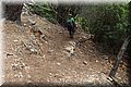 P8071683.JPG