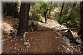 P8071692.JPG