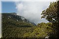P8111717.JPG