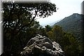 P8111719.JPG