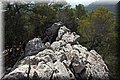 P8111720.JPG