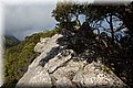 P8111721.JPG