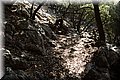 P8111727.JPG