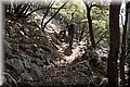 P8111729.JPG