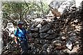 P8111734.JPG