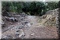 P8141750.JPG