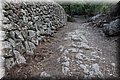 P8141751.JPG