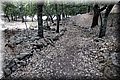 P8141755.JPG