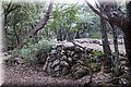 P8141759.JPG