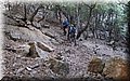 P8141764.JPG