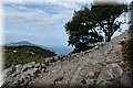 P8141774.JPG