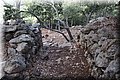 P8141783.JPG
