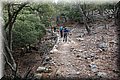 P8141797.JPG