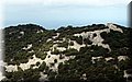 P8141805.JPG