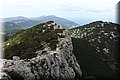 P8141812.JPG