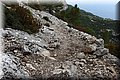 P8141818.JPG