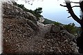 P8141820.JPG