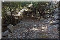 P8181863.JPG