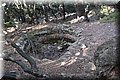 P8181867.JPG