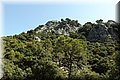 P8181897.JPG