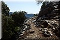 P8181901.JPG