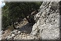 P8181905.JPG